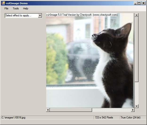 C# ActiveX image edit demo