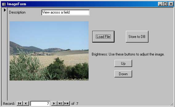 csXImage demo for MS Access storing image in a BLOB field