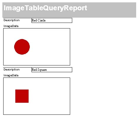 Access report with image displayed by csXImage