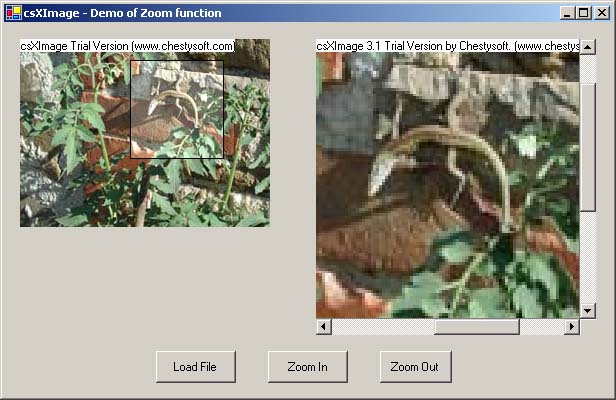 Image zoom in Visual Basic